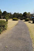 Medium_dsc_0012 (425x640)